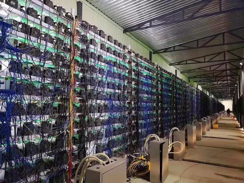 A large scale mining farm utilizing advanced cooling systems