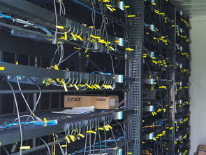 Array of GPU-based Ethereum mining rigs set up for optimal performance