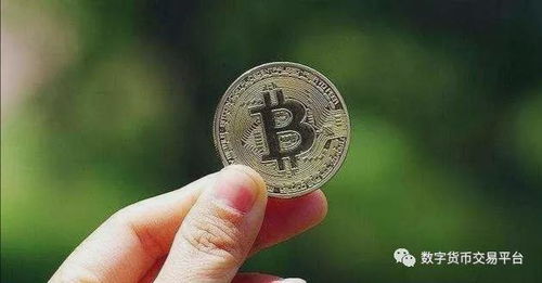 Bitcoin miners value hosting for consistent uptime and maximizing their returns.