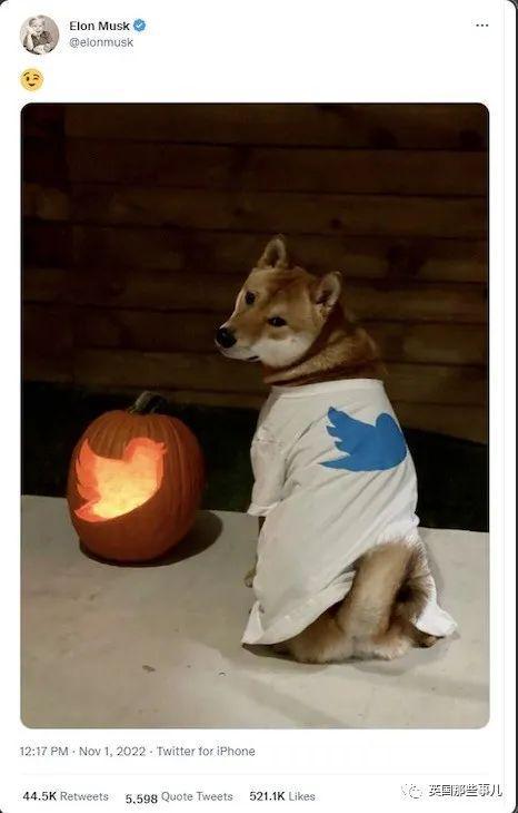 Dogecoin Mining